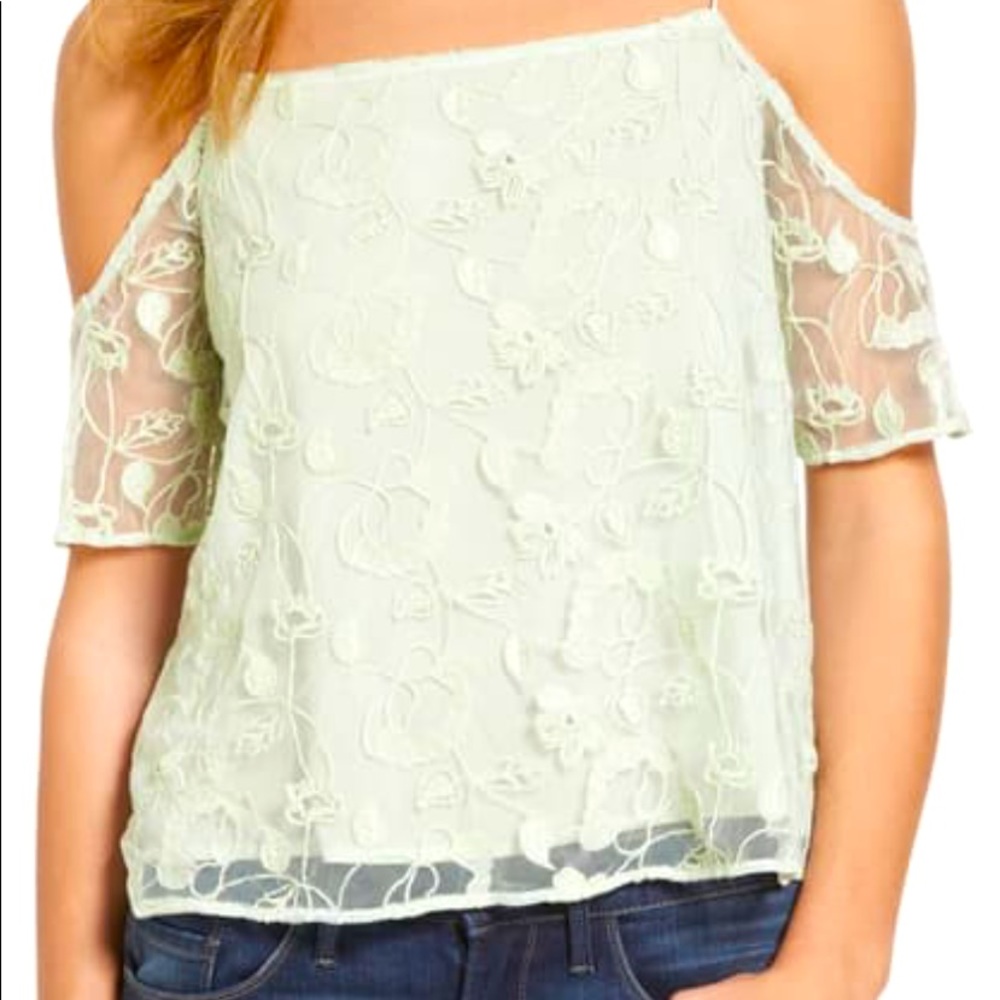 Embroidered mesh off the shoulder top